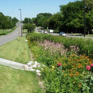 Natural Drainage Systems as Green Infrastructure in Settlements